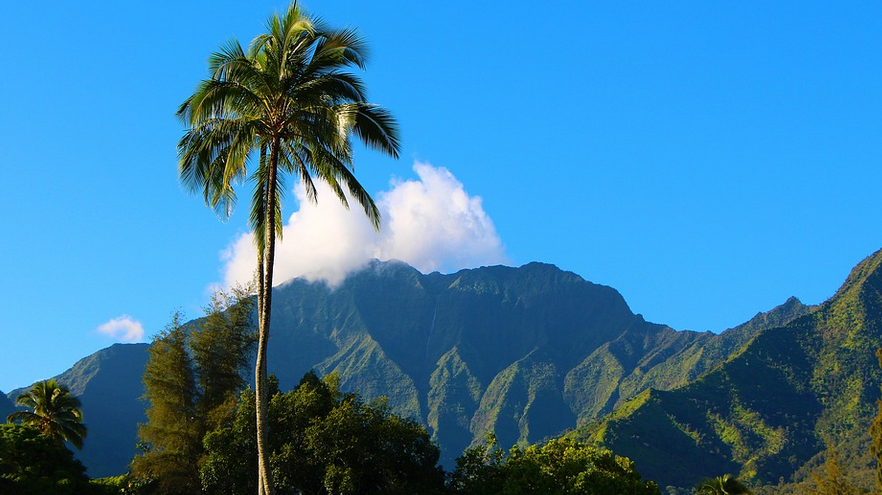 Deal alert: round-trip flights from the West Coast to Hawaii are only $237. 