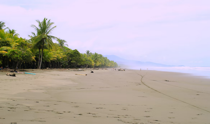 Flights to Costa Rica from a number of US cities start at just over $300. 