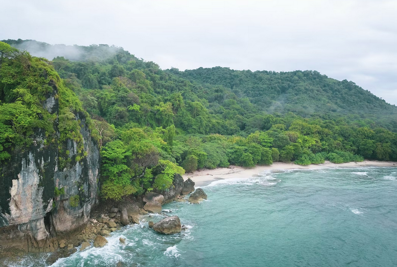 Get round-trip tickets to Costa Rica for as little as $265. 