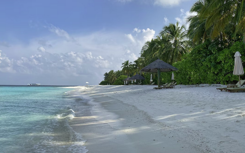 Fly to the Maldives for half off in premium economy 